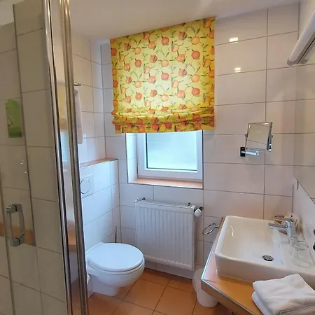 Hotel-gasthof Lamm 2* Rot am See